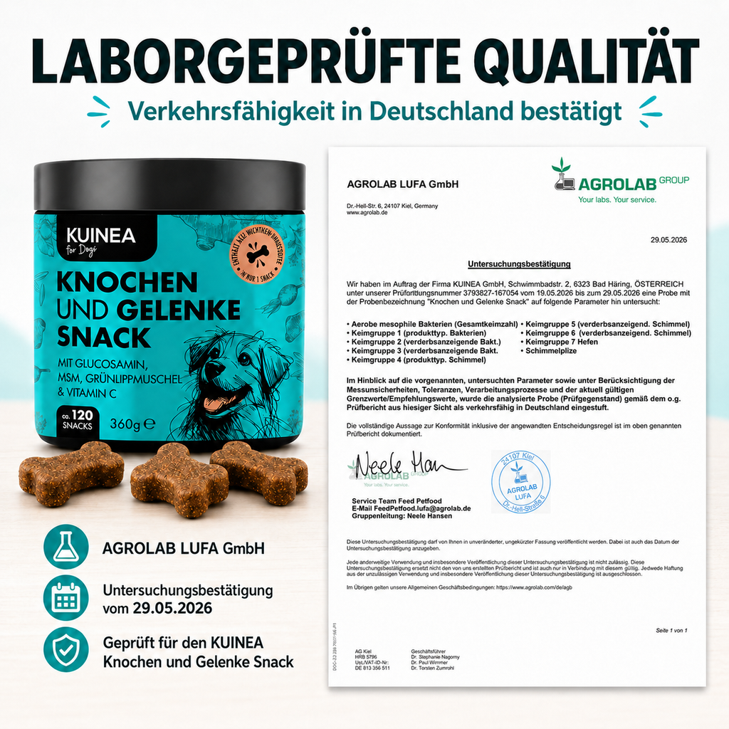 KUINEA for Dogs – Knochen & Gelenke Snack (120 Soft Chews, 360 g)