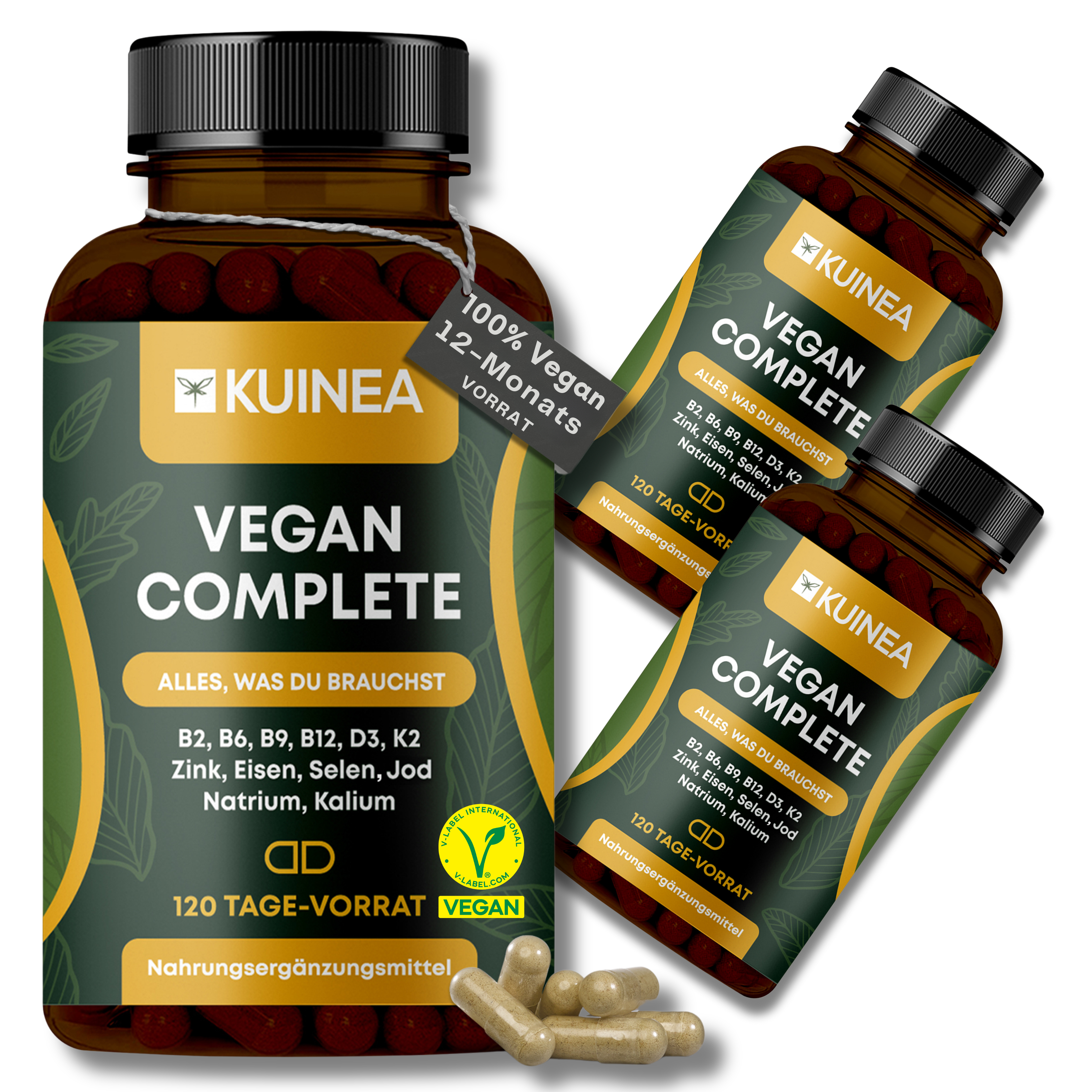 KUINEA Vegan Complete – Multivitamin (120 Kapseln)