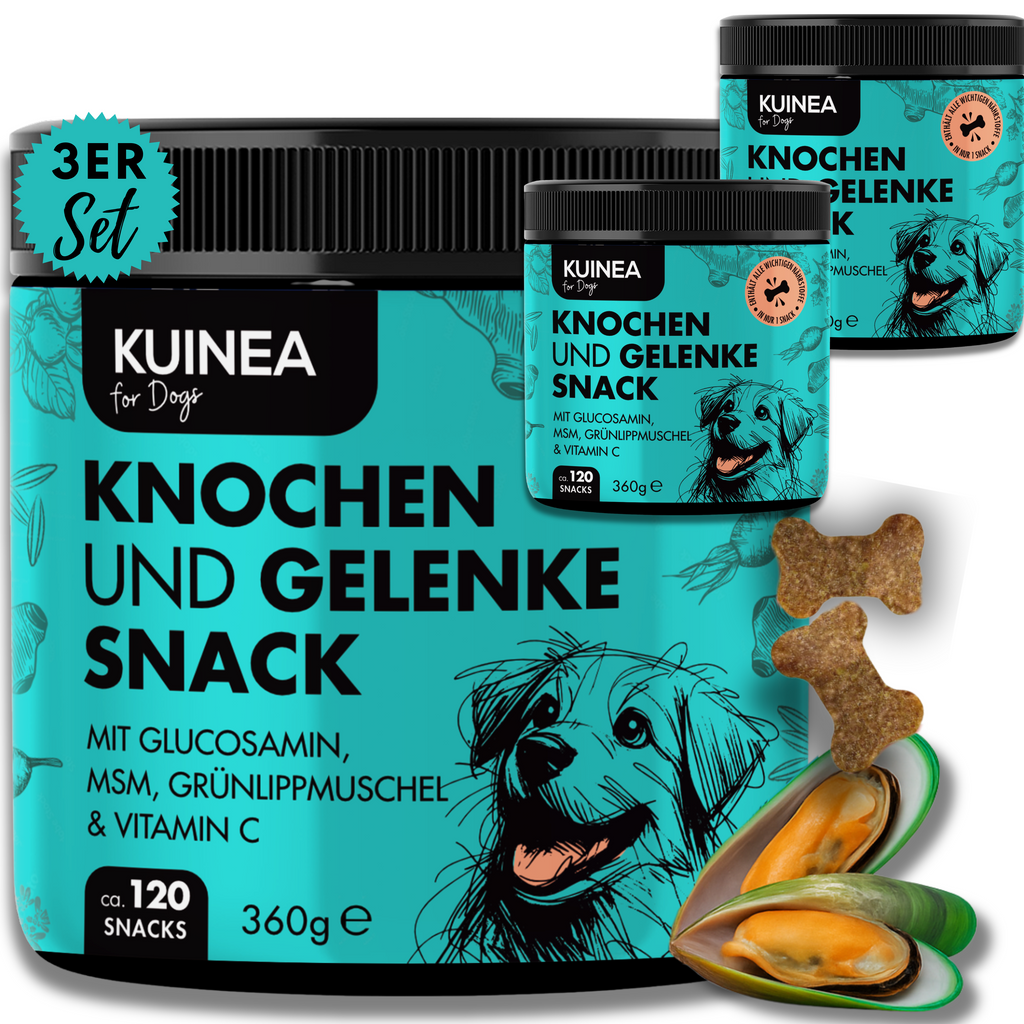 KUINEA for Dogs – Knochen & Gelenke Snack (120 Soft Chews, 360 g)